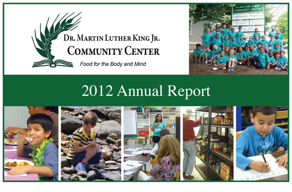 annual report 2012 preview