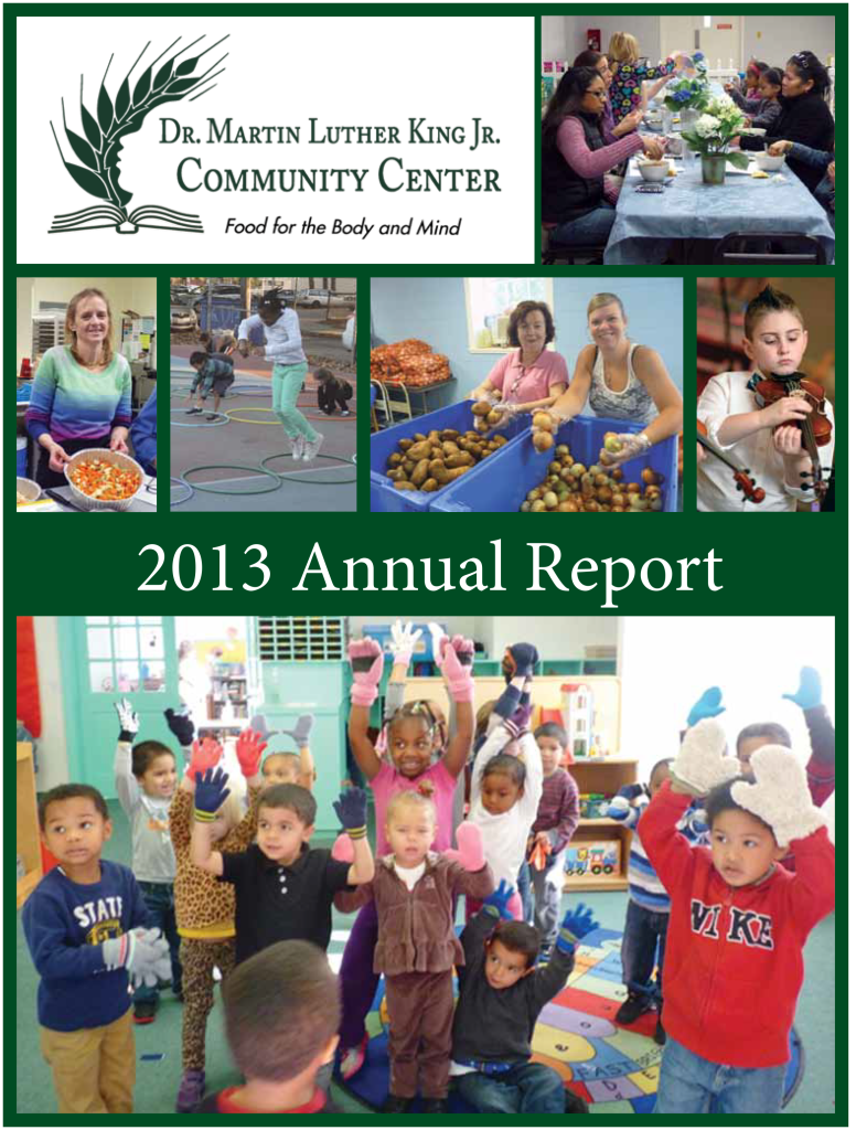 annual report 2013 preview