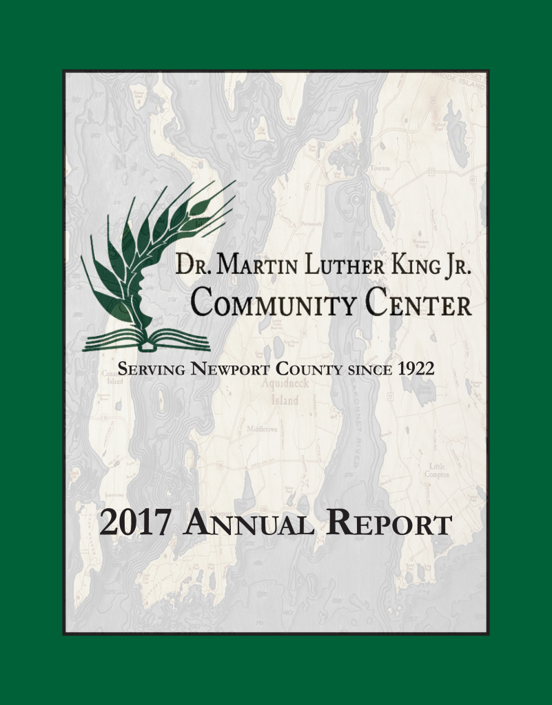 annual report 2017 preview