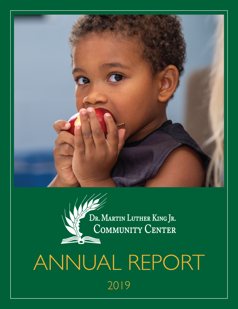 annual report 2019 preview