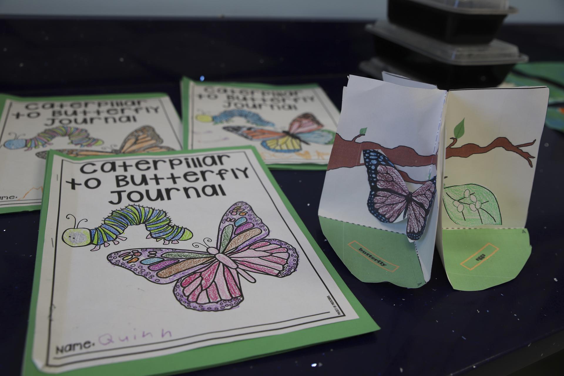 Butterfly journals