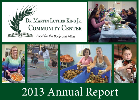 annual report 2013