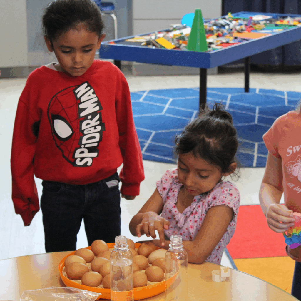 eggs enews 2