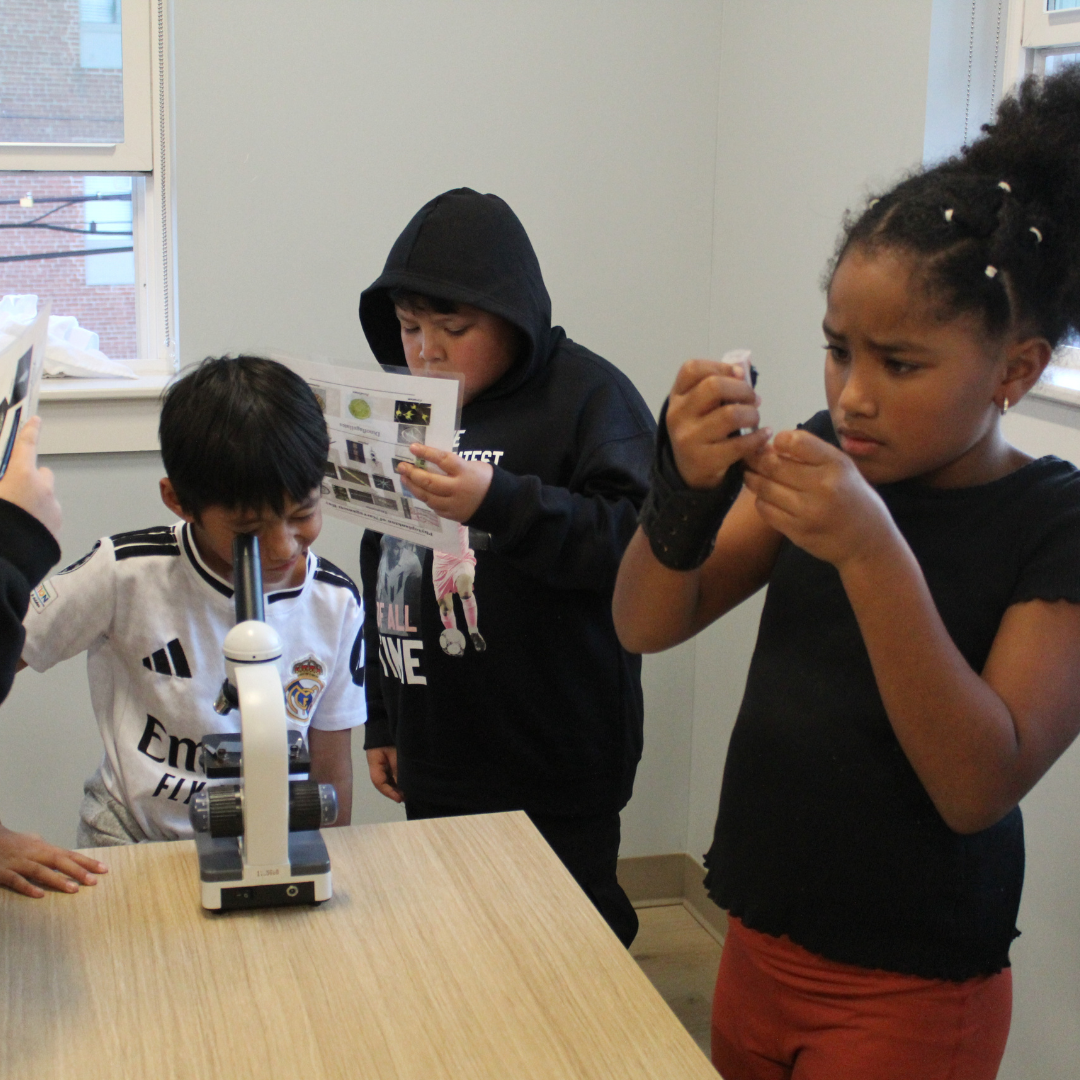 Enews Save the Bay 2